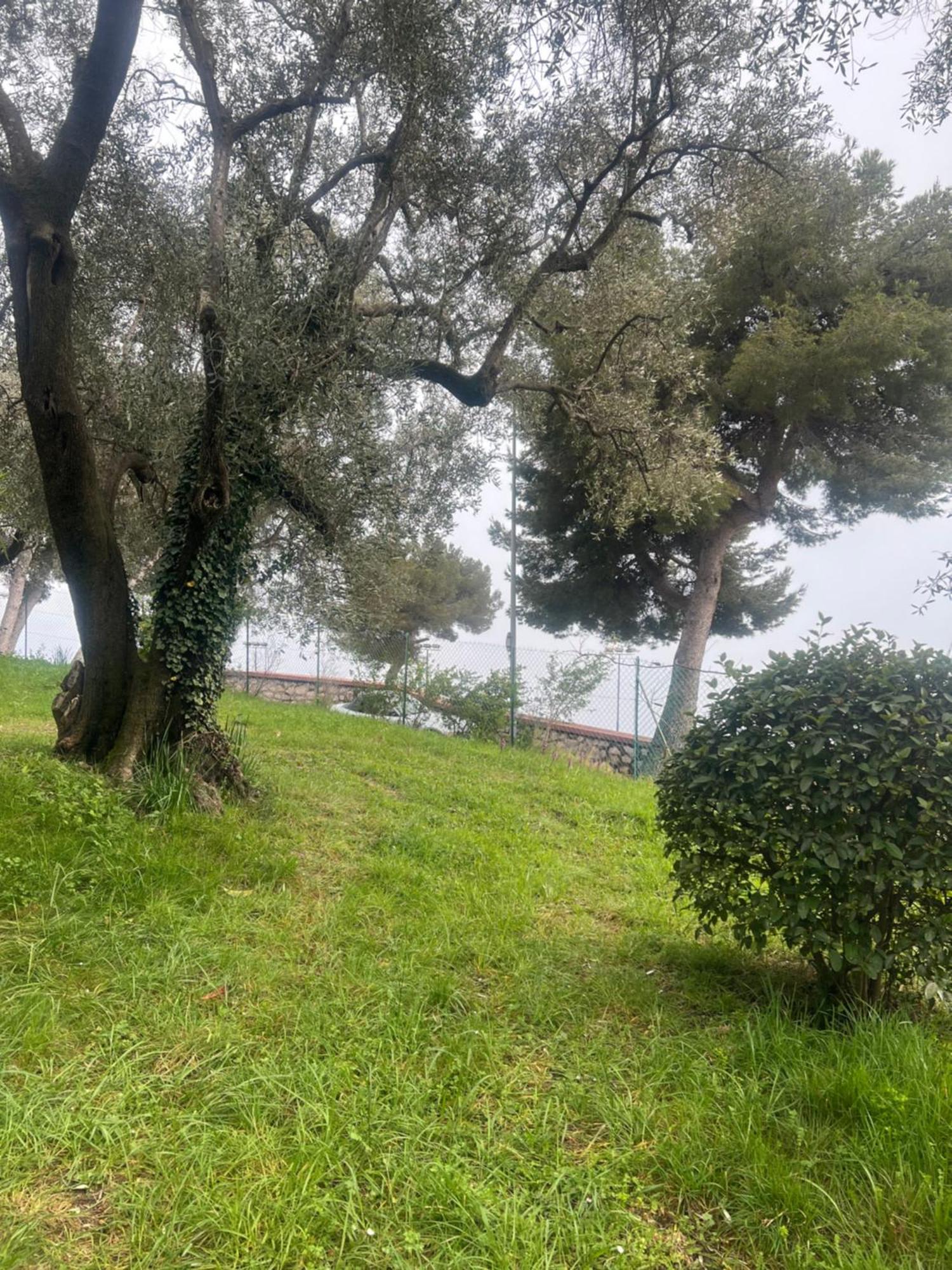 Bas De Villa Vue Mer Eze Village Kültér fotó